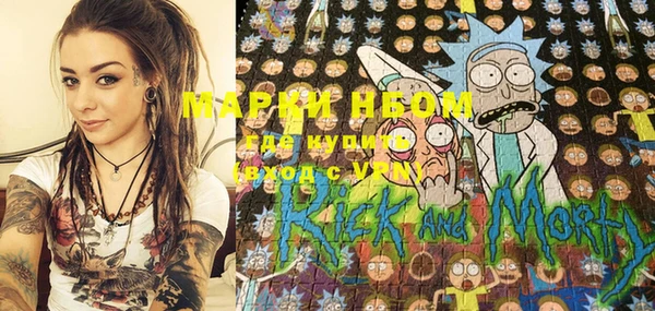 соль ск Туринск